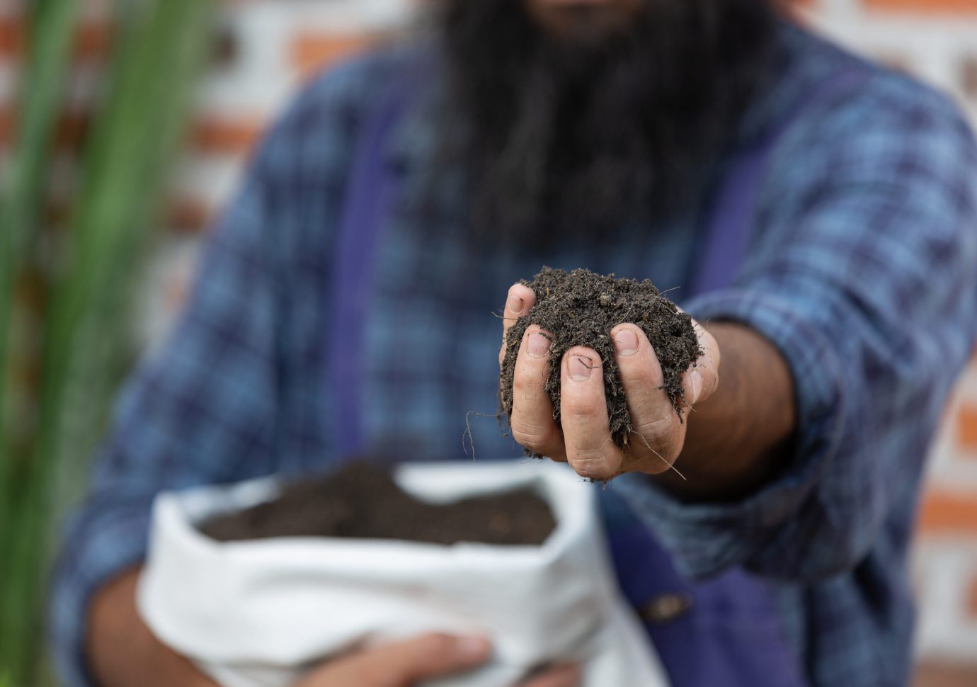 Closeup picture of Gardener’s Hands holding soil Closeup picture of Gardener's Hands holding soil