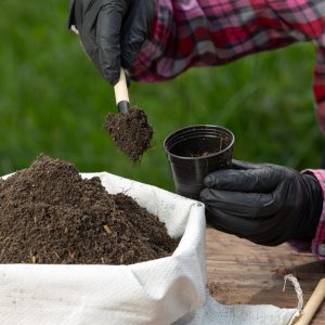 closeup-picture-gardener-s-hands-planting-plant_1150-26607