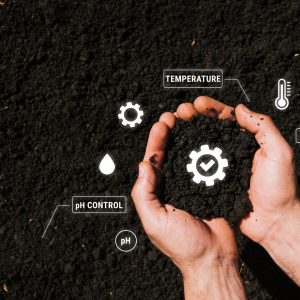 standard-quality-control-concept-m_23-2150041865